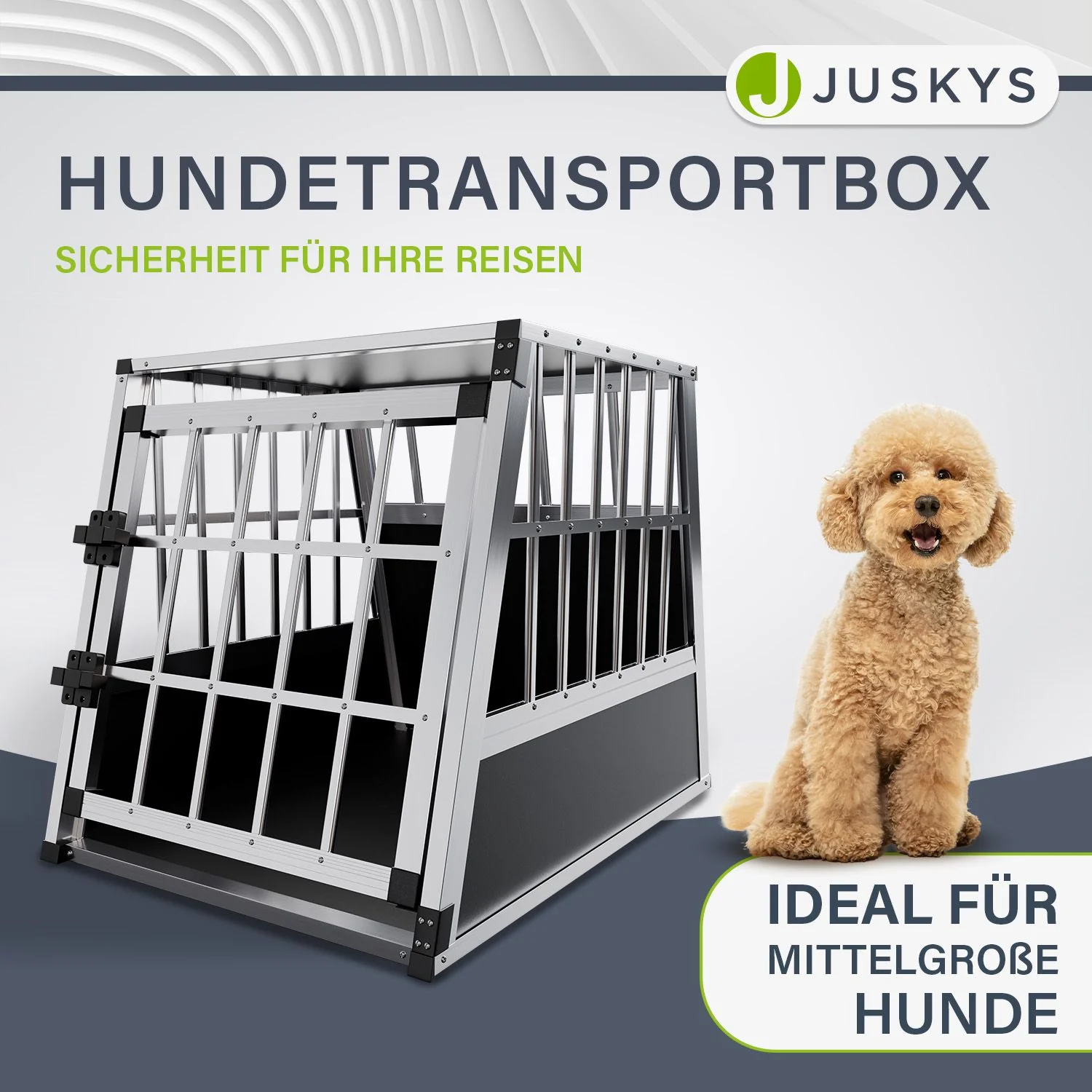 Hundebox Auto - Image 10